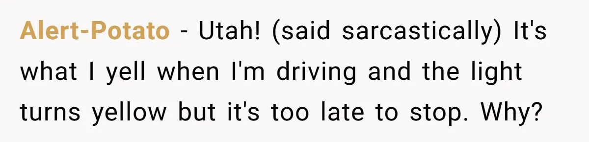 Alert-Potato − Utah! (said sarcastically) It's what I yell when I'm driving and the light turns yellow but it's too late to stop. Why?