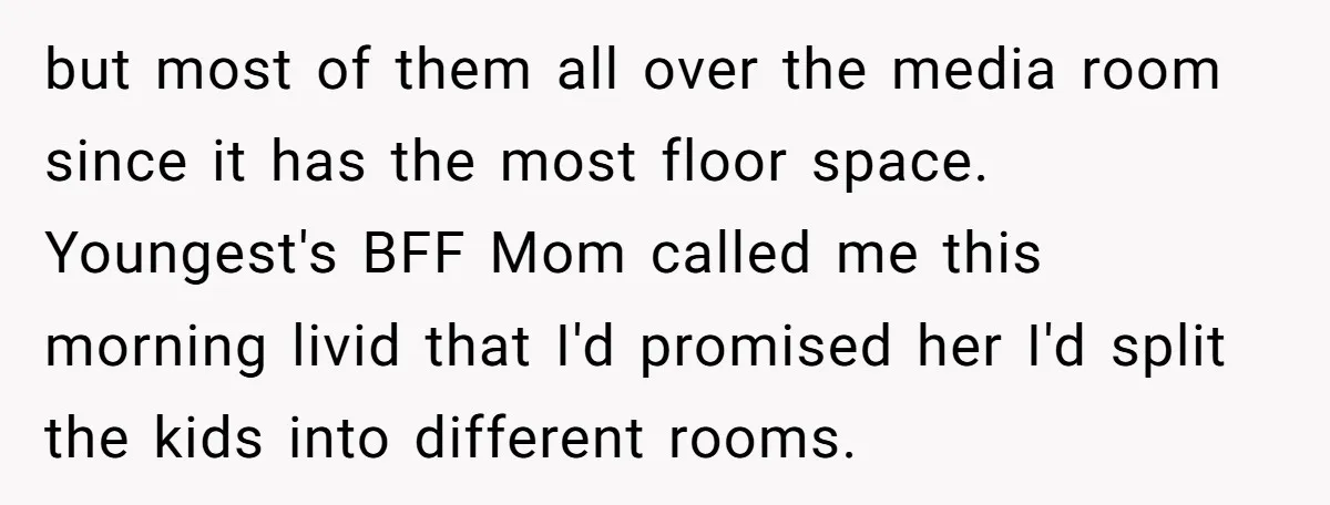 but most of them all over the media room since it has the most floor space. Youngest's BFF Mom called me this morning livid that I'd promised her I'd split...