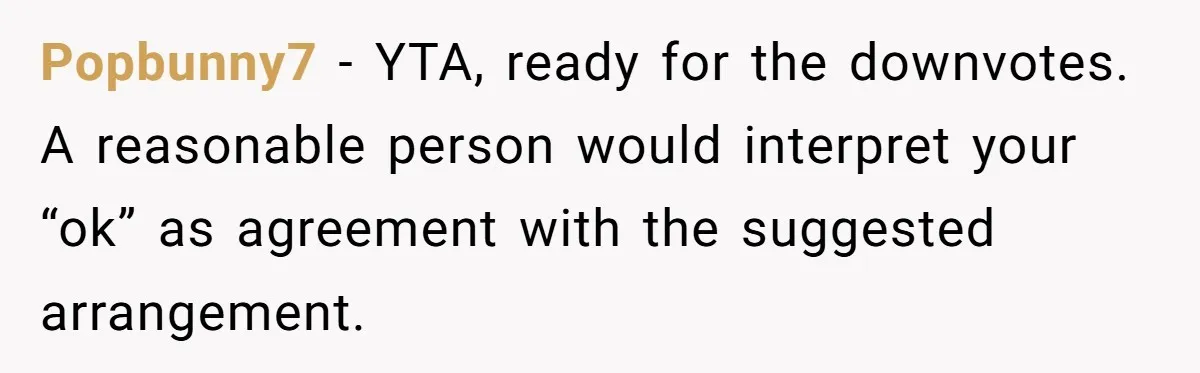 Popbunny7 − YTA, ready for the downvotes. A reasonable person would interpret your “ok” as agreement with the suggested arrangement.