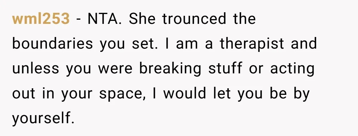wml253 − NTA. She trounced the boundaries you set. I am a therapist and unless you were breaking stuff or acting out in your space, I would let you be...