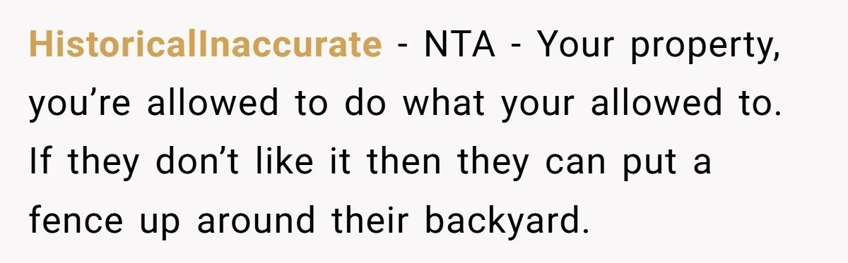 HistoricalInaccurate − NTA - Your property, you’re allowed to do what your allowed to. If they don’t like it then they can put a fence up around their backyard.