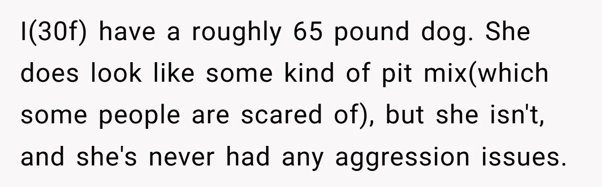 I(30f) have a roughly 65 pound dog. She does look like some kind of pit mix(which some people are scared of), but she isn't, and she's never had any aggression...