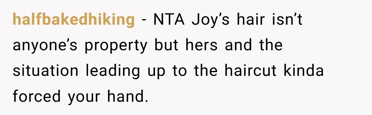 halfbakedhiking − NTA Joy’s hair isn’t anyone’s property but hers and the situation leading up to the haircut kinda forced your hand.