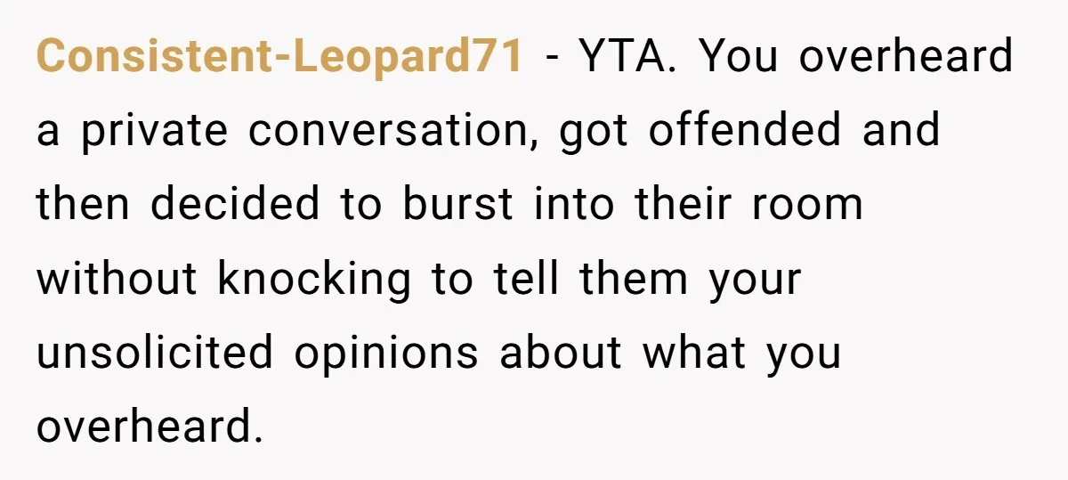 Consistent-Leopard71 − YTA. You overheard a private conversation, got offended and then decided to burst into their room without knocking to tell them your unsolicited opinions about what you overheard.