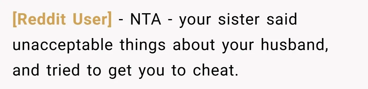 [Reddit User] − NTA - your sister said unacceptable things about your husband, and tried to get you to cheat.