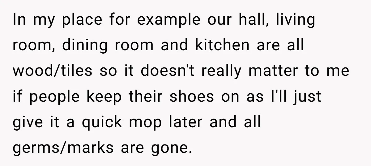 In my place for example our hall, living room, dining room and kitchen are all wood/tiles so it doesn't really matter to me if people keep their shoes on as...