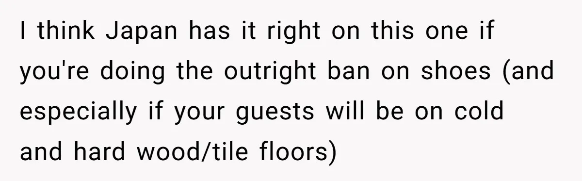 I think Japan has it right on this one if you're doing the outright ban on shoes (and especially if your guests will be on cold and hard wood/tile floors)