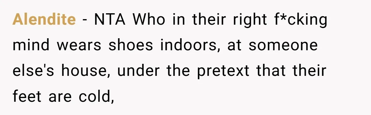 Alendite − NTA Who in their right f*cking mind wears shoes indoors, at someone else's house, under the pretext that their feet are cold,
