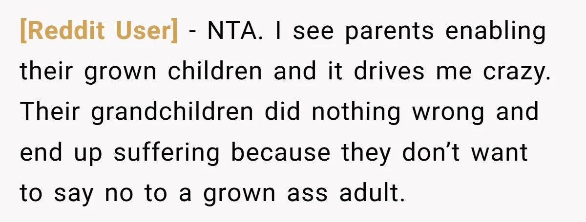[Reddit User] − NTA. I see parents enabling their grown children and it drives me crazy. Their grandchildren did nothing wrong and end up suffering because they don’t want to...