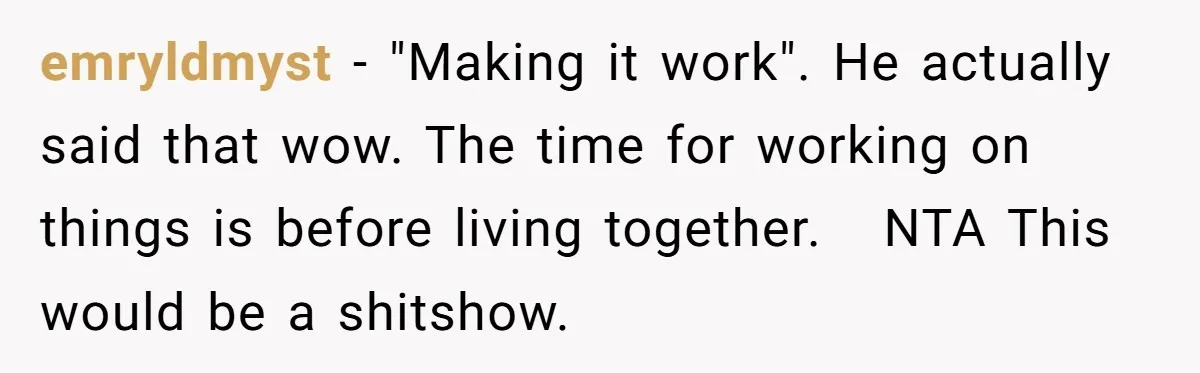 emryldmyst − "Making it work". He actually said that wow. The time for working on things is before living together. NTA This would be a shitshow.