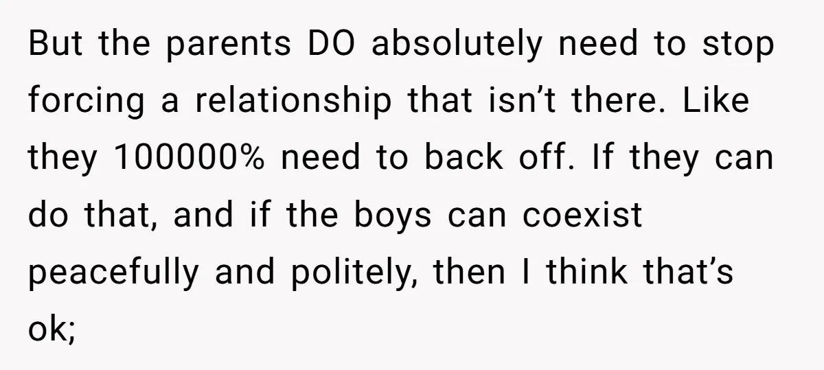 But the parents DO absolutely need to stop forcing a relationship that isn’t there. Like they 100000% need to back off. If they can do that, and if the boys...