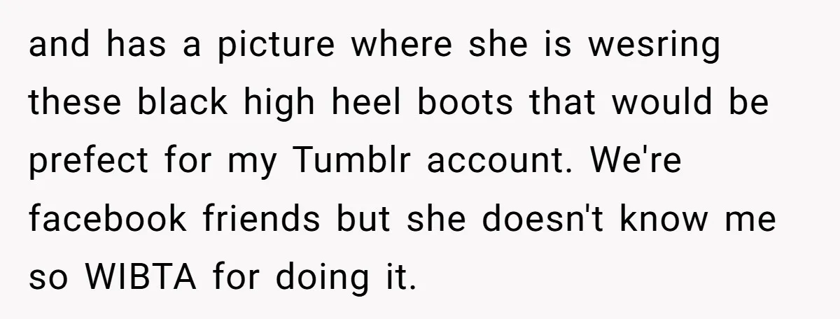 and has a picture where she is wesring these black high heel boots that would be prefect for my Tumblr account. We're facebook friends but she doesn't know me so...