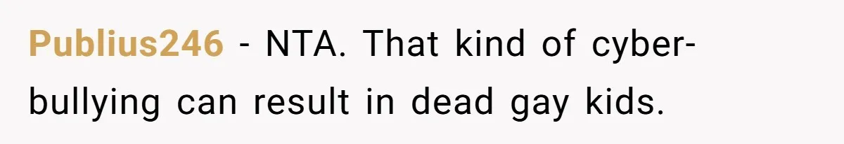 Publius246 − NTA. That kind of cyber-bullying can result in dead gay kids.