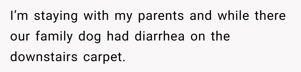 I’m staying with my parents and while there our family dog had diarrhea on the downstairs carpet.