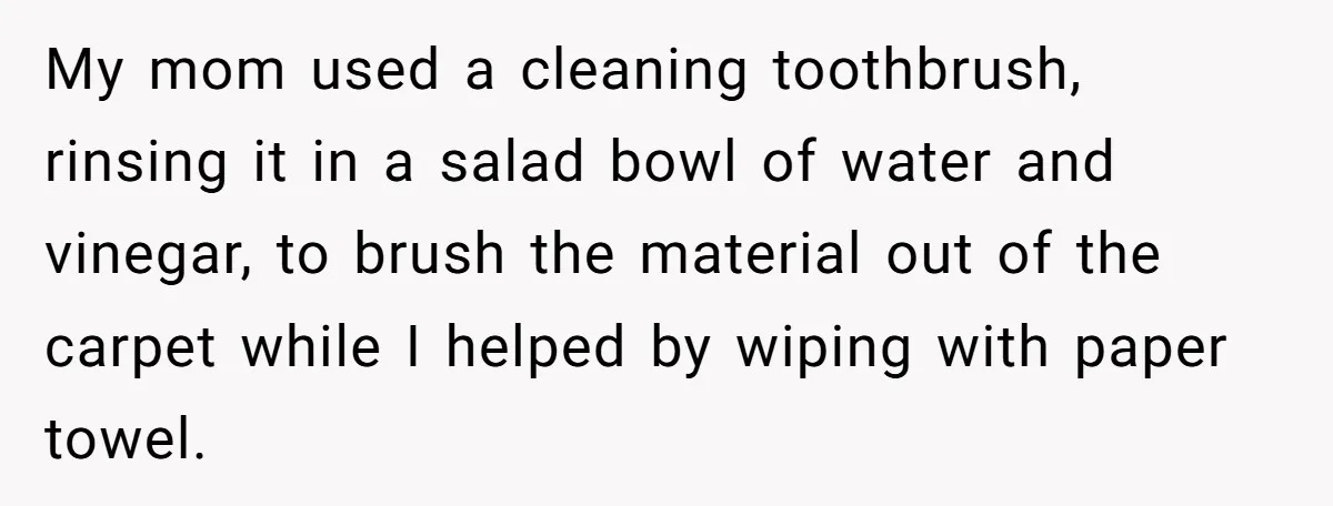 My mom used a cleaning toothbrush, rinsing it in a salad bowl of water and vinegar, to brush the material out of the carpet while I helped by wiping with...
