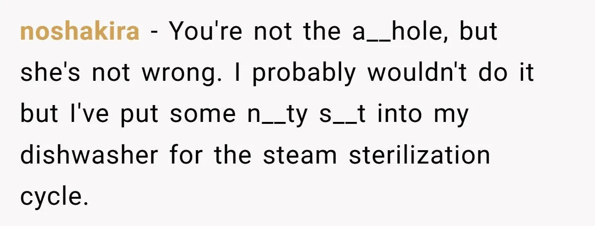 noshakira − You're not the a__hole, but she's not wrong. I probably wouldn't do it but I've put some n__ty s__t into my dishwasher for the steam sterilization cycle.