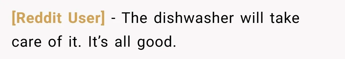 [Reddit User] − The dishwasher will take care of it. It’s all good.