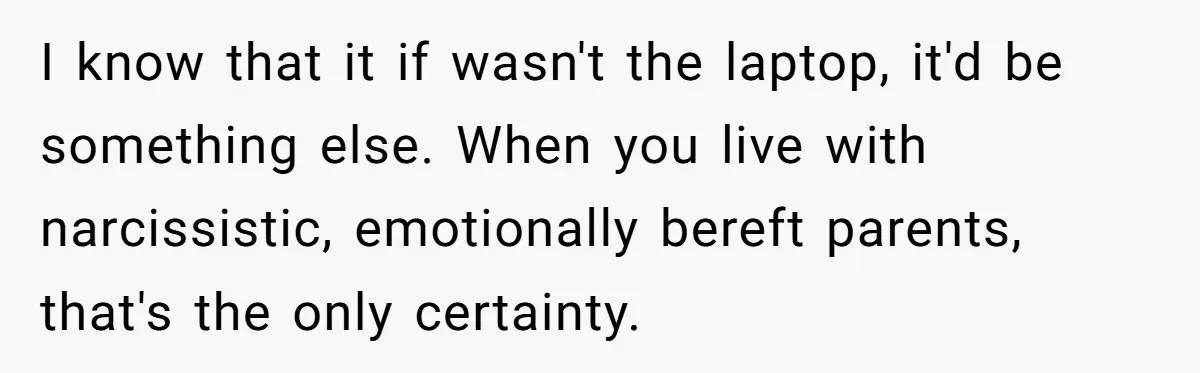I know that it if wasn't the laptop, it'd be something else. When you live with narcissistic, emotionally bereft parents, that's the only certainty.