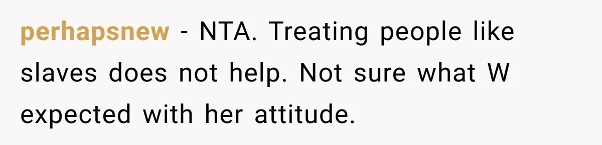 perhapsnew − NTA. Treating people like slaves does not help. Not sure what W expected with her attitude.