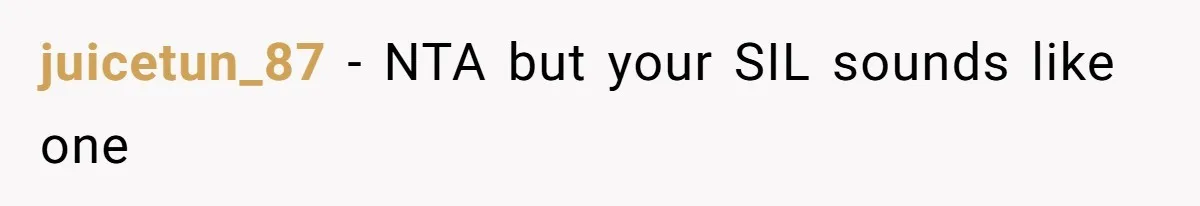 juicetun_87 − NTA but your SIL sounds like one