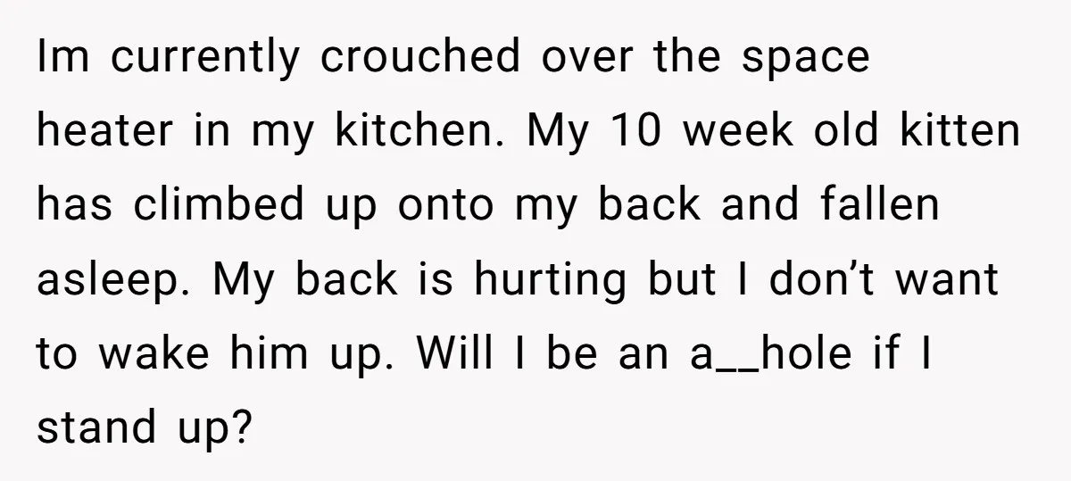 Im currently crouched over the space heater in my kitchen. My 10 week old kitten has climbed up onto my back and fallen asleep. My back is hurting but I...