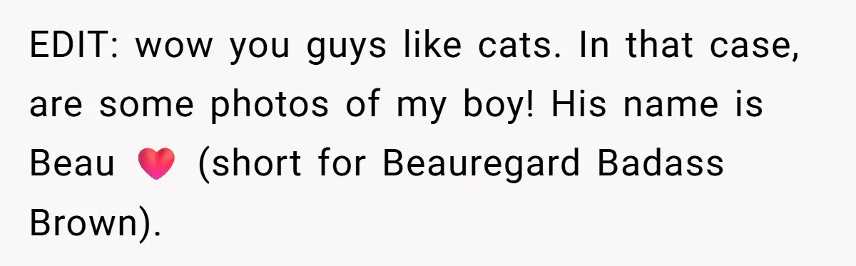 EDIT: wow you guys like cats. In that case,  are some photos of my boy! His name is Beau ❤️ (short for Beauregard Badass Brown).