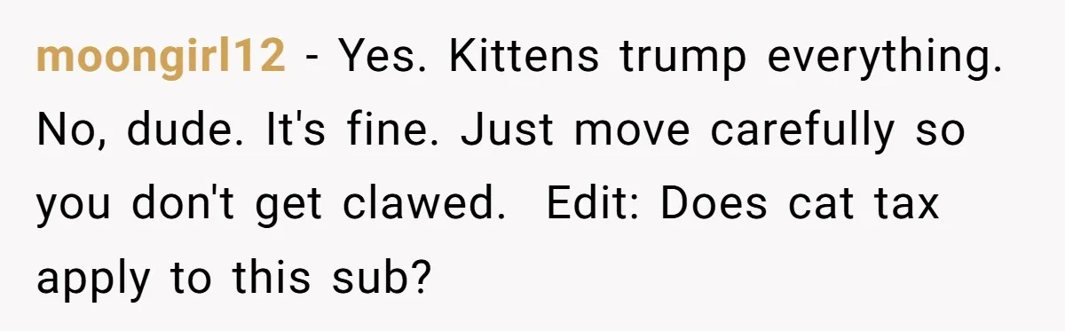 moongirl12 − Yes. Kittens trump everything. No, dude. It's fine. Just move carefully so you don't get clawed. ​ Edit: Does cat tax apply to this sub?