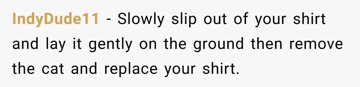 IndyDude11 − Slowly slip out of your shirt and lay it gently on the ground then remove the cat and replace your shirt.
