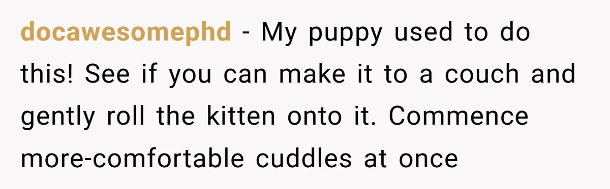 docawesomephd − My puppy used to do this! See if you can make it to a couch and gently roll the kitten onto it. Commence more-comfortable cuddles at once