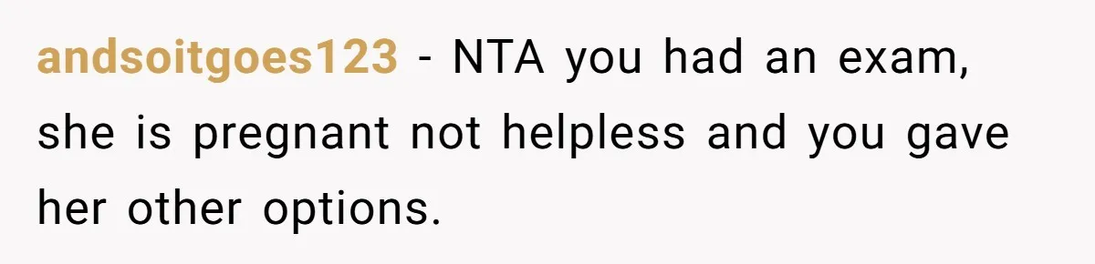 andsoitgoes123 − NTA you had an exam, she is pregnant not helpless and you gave her other options.
