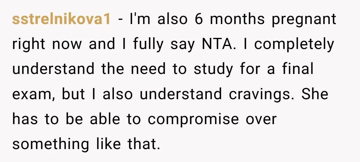 sstrelnikova1 − I'm also 6 months pregnant right now and I fully say NTA. I completely understand the need to study for a final exam, but I also understand cravings....