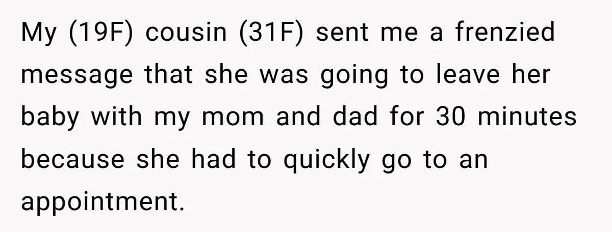 My (19F) cousin (31F) sent me a frenzied message that she was going to leave her baby with my mom and dad for 30 minutes because she had to quickly...
