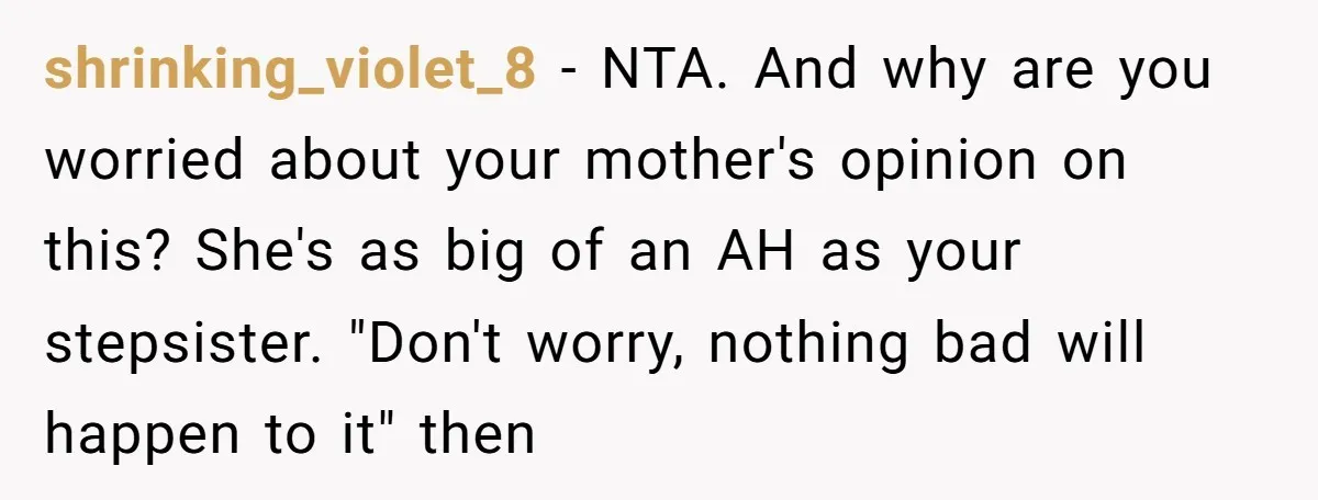 shrinking_violet_8 − NTA. And why are you worried about your mother's opinion on this? She's as big of an AH as your stepsister. "Don't worry, nothing bad will happen to...