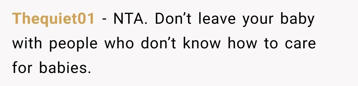 Thequiet01 − NTA. Don’t leave your baby with people who don’t know how to care for babies.