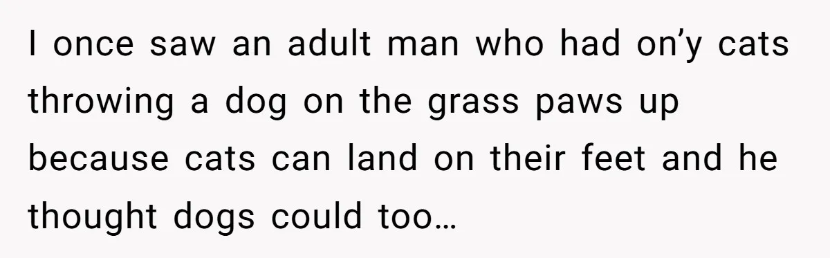 I once saw an adult man who had on’y cats throwing a dog on the grass paws up because cats can land on their feet and he thought dogs could...
