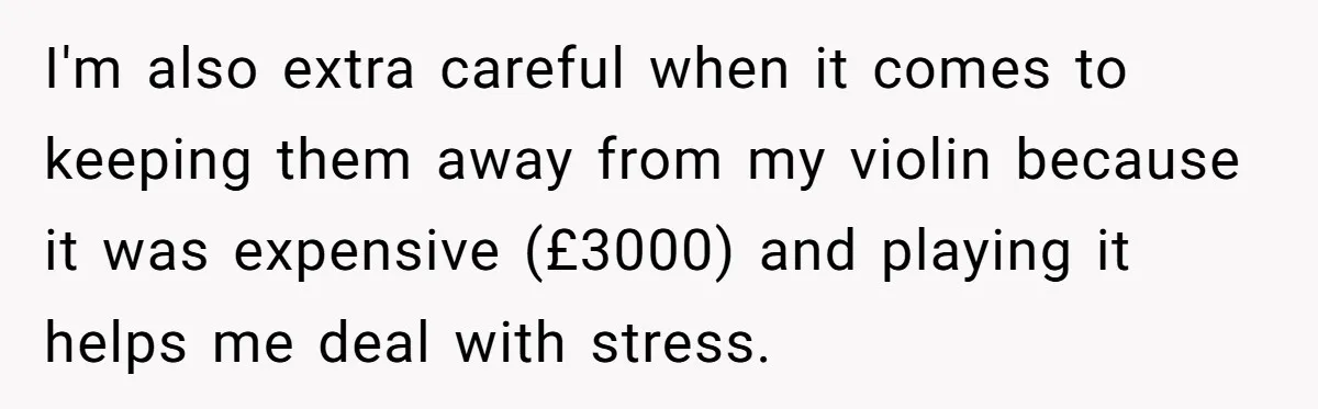 I'm also extra careful when it comes to keeping them away from my violin because it was expensive (£3000) and playing it helps me deal with stress.