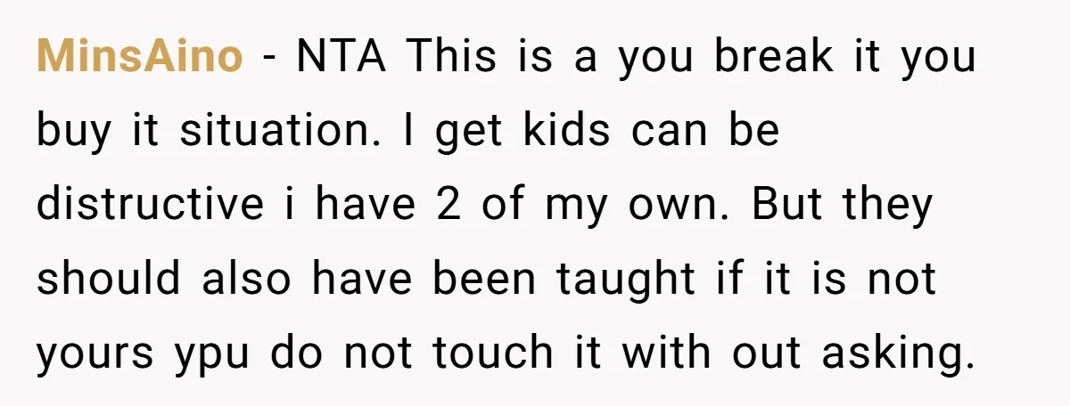 MinsAino − NTA This is a you break it you buy it situation. I get kids can be distructive i have 2 of my own. But they should also have...