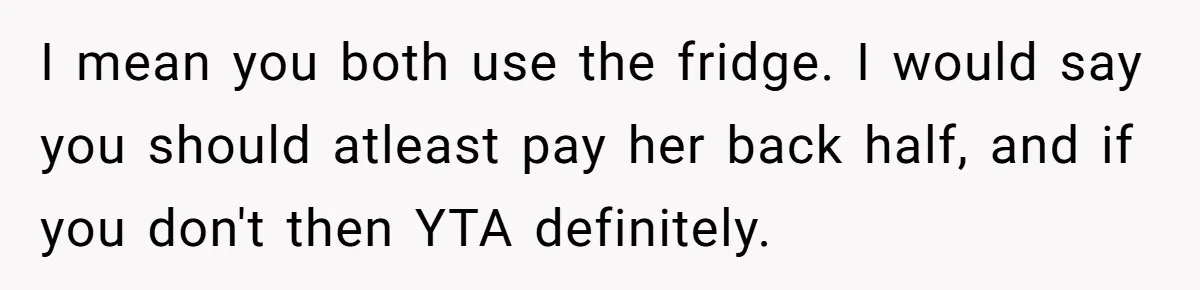 I mean you both use the fridge. I would say you should atleast pay her back half, and if you don't then YTA definitely.