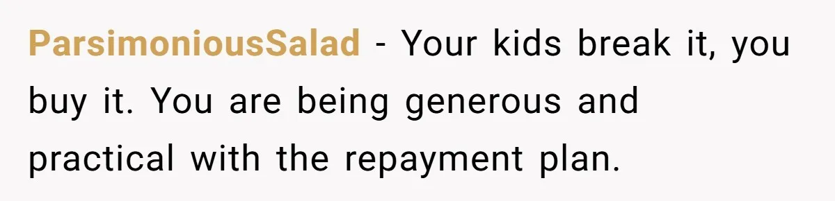 ParsimoniousSalad − Your kids break it, you buy it. You are being generous and practical with the repayment plan.