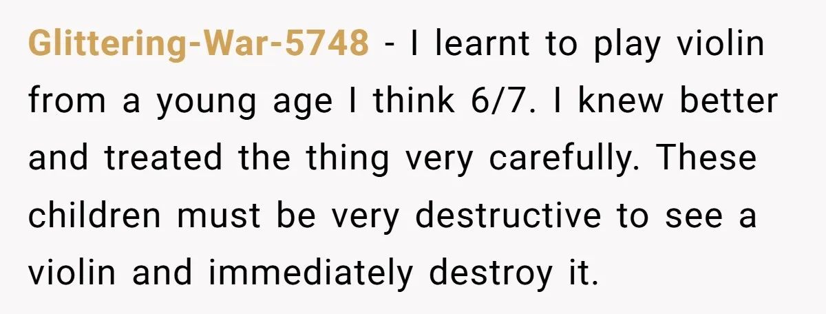 Glittering-War-5748 − I learnt to play violin from a young age I think 6/7. I knew better and treated the thing very carefully. These children must be very destructive to...