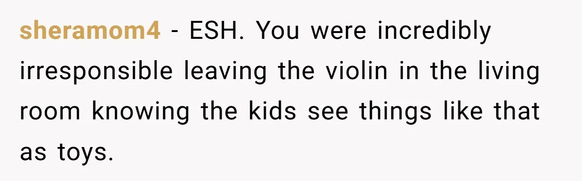 sheramom4 − ESH. You were incredibly irresponsible leaving the violin in the living room knowing the kids see things like that as toys.