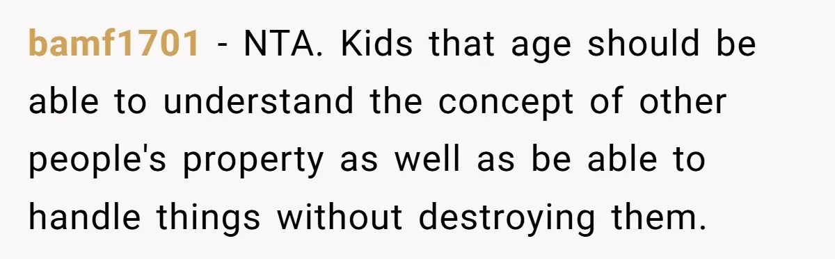 bamf1701 − NTA. Kids that age should be able to understand the concept of other people's property as well as be able to handle things without destroying them.