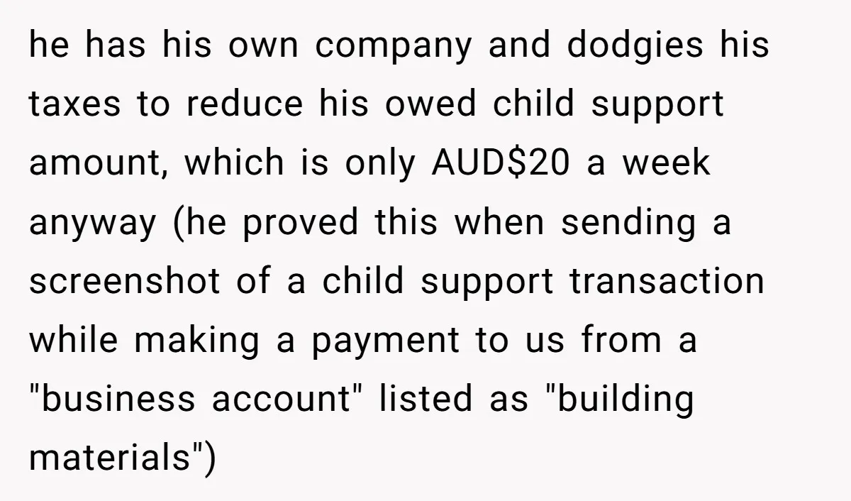 he has his own company and dodgies his taxes to reduce his owed child support amount, which is only AUD$20 a week anyway (he proved this when sending a screenshot...