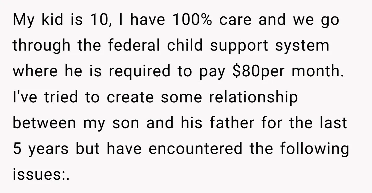 My kid is 10, I have 100% care and we go through the federal child support system where he is required to pay $80per month. I've tried to create some...
