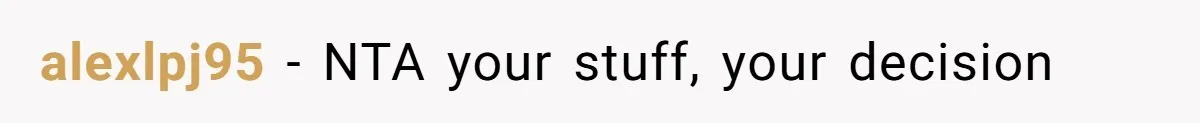 alexlpj95 − NTA your stuff, your decision