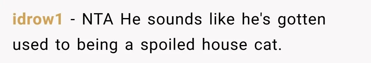 idrow1 − NTA He sounds like he's gotten used to being a spoiled house cat.