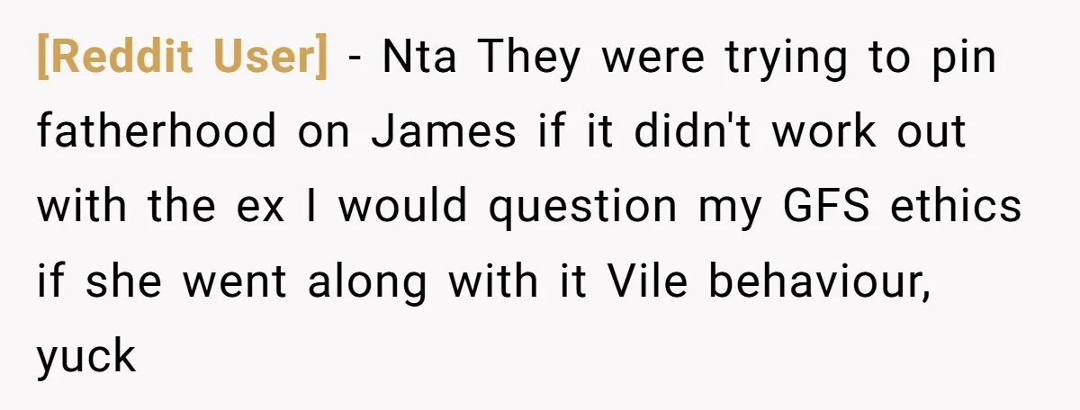 [Reddit User] − Nta They were trying to pin fatherhood on James if it didn't work out with the ex I would question my GFS ethics if she went along...