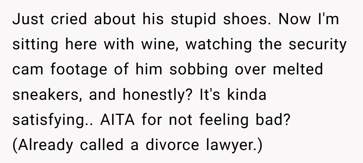 Just cried about his stupid shoes. Now I'm sitting here with wine, watching the security cam footage of him sobbing over melted sneakers, and honestly? It's kinda satisfying.. AITA for...