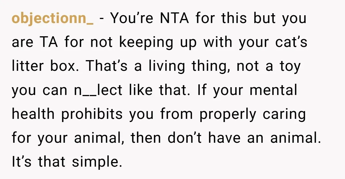 objectionn_ − You’re NTA for this but you are TA for not keeping up with your cat’s litter box. That’s a living thing, not a toy you can n__lect like...