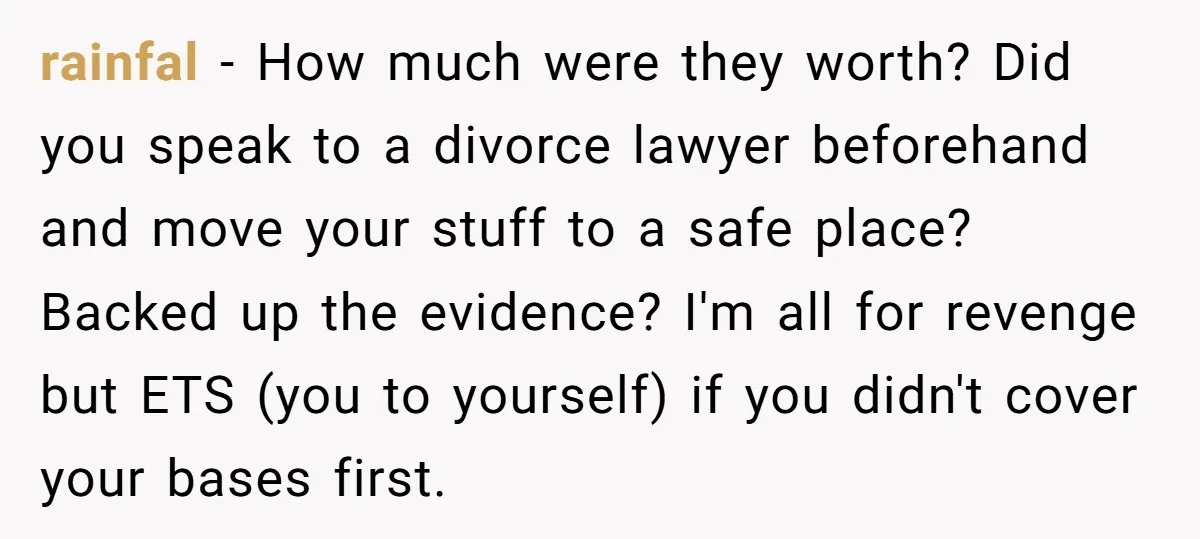 rainfal − How much were they worth? Did you speak to a divorce lawyer beforehand and move your stuff to a safe place? Backed up the evidence? I'm all for...